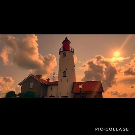 Gastenverblijf De Paddestoel Урк Экстерьер фото